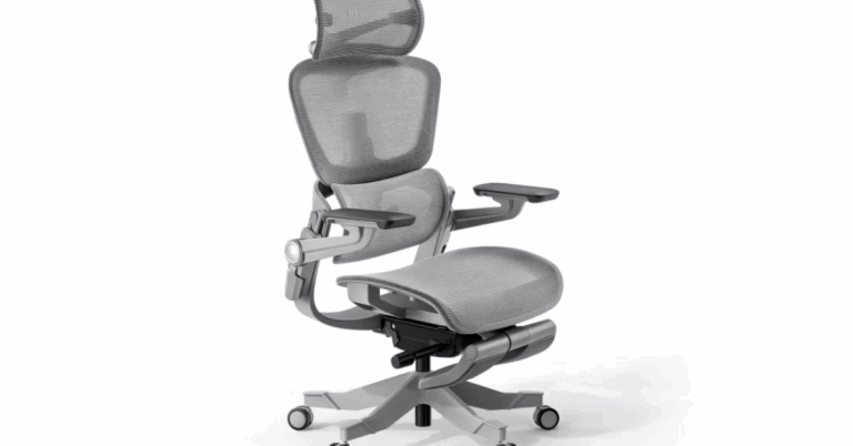 Ergomeister Chair Review: Singapore’s Premium Ergonomic Seating Solution