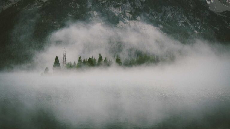 How Long Does 11Xplay Pro Id Sign Up Online Take To Verify?